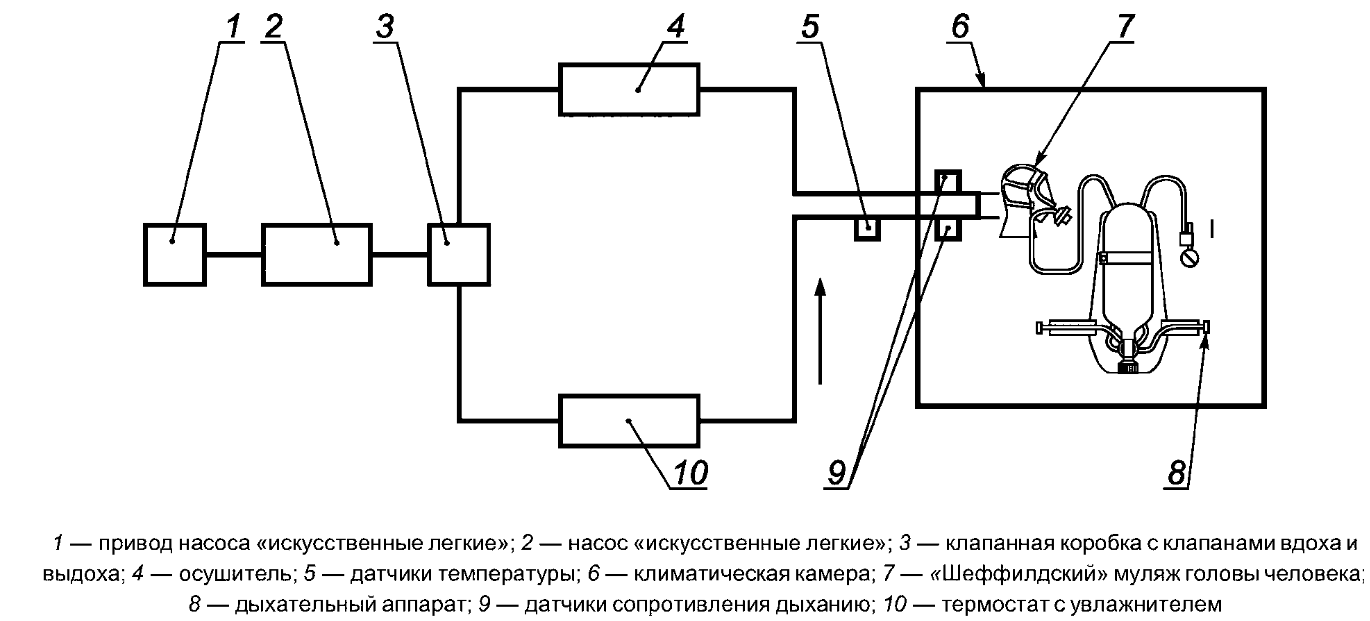Принципиальная схема стенда-имитатора внешнего дыхания человека: 1 — привод насоса «искусственные лёгкие»; 2 — насос «искусственные лёгкие»; 3 — клапанная коробка с клапанами вдоха и выдоха; 4 — осушитель; 5 — датчики температуры; 6 — климатическая камера; 7 — «Шеффилдский» муляж головы человека; 8 — дыхательный аппарат; 9 — датчики сопротивления дыханию; 10 — термостат с увлажнителем