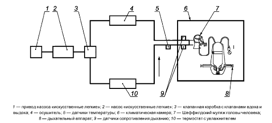 Принципиальная схема стенда-имитатора внешнего дыхания человека: 1 — привод насоса «искусственные лёгкие»; 2 — насос «искусственные лёгкие»; 3 — клапанная коробка с клапанами вдоха и выдоха; 4 — осушитель; 5 — датчики температуры; 6 — климатическая камера; 7 — Шеффилдский муляж головы человека; 8 — дыхательный аппарат; 9 — датчики сопротивления дыханию; 10 — термостат с увлажнителем