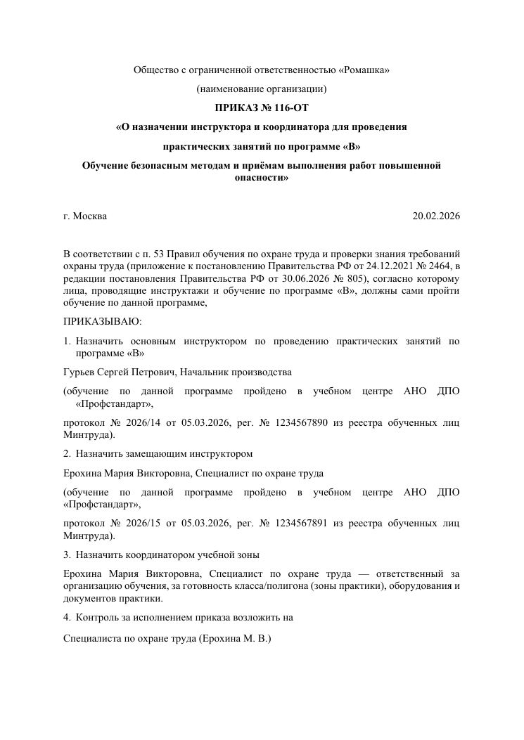 Образец документа: Приказ о назначении инструктора и координатора