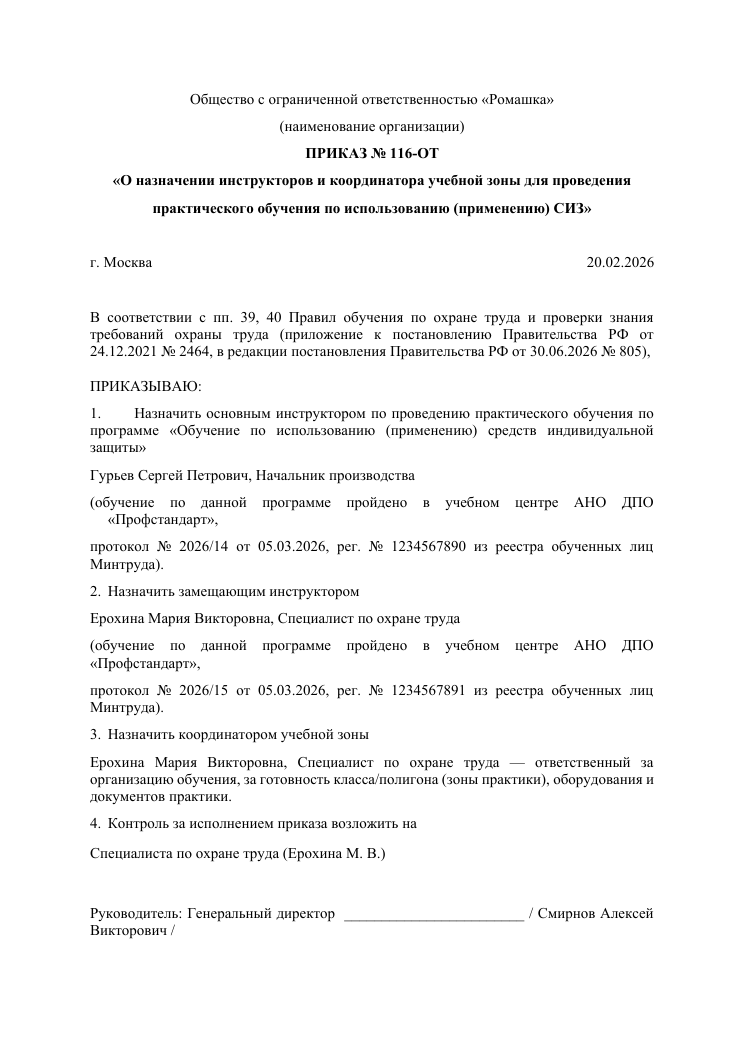Образец документа: Приказ: инструктор практики (СИЗ)